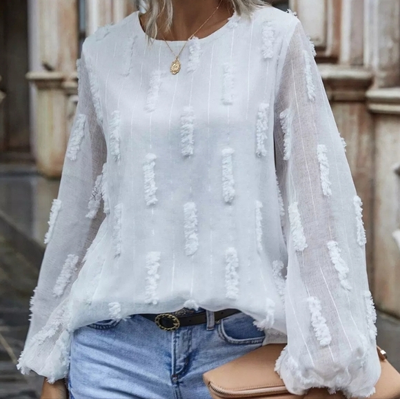 SHEIN Swiss Dot Long Sleeve White Top Size Small - Picture 1 of 8